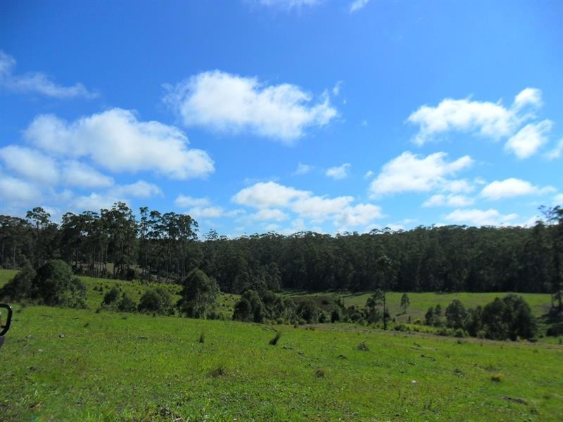 322 Hubbards Nth Rd, Wootton NSW 2423