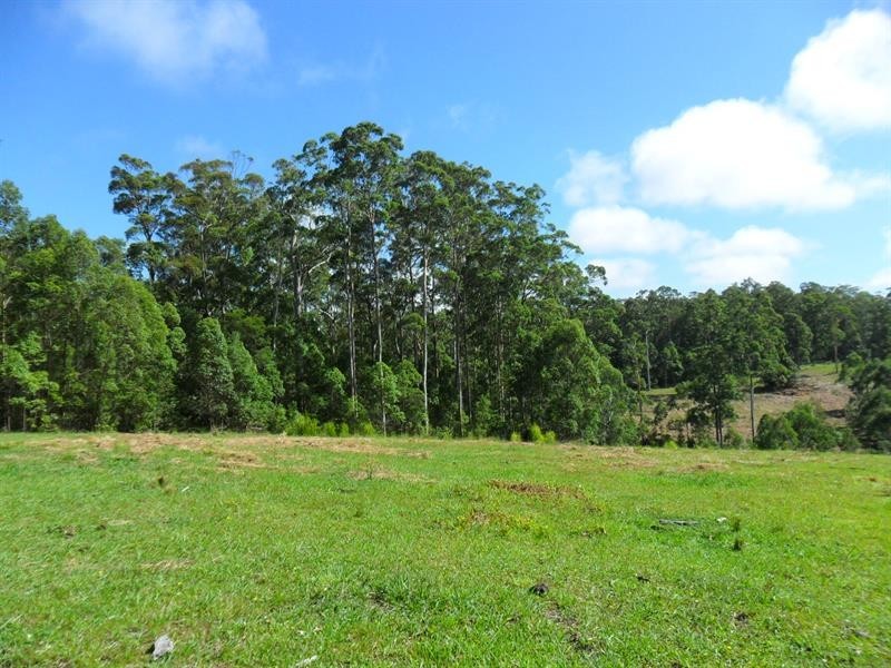 322 Hubbards Nth Rd, Wootton NSW 2423