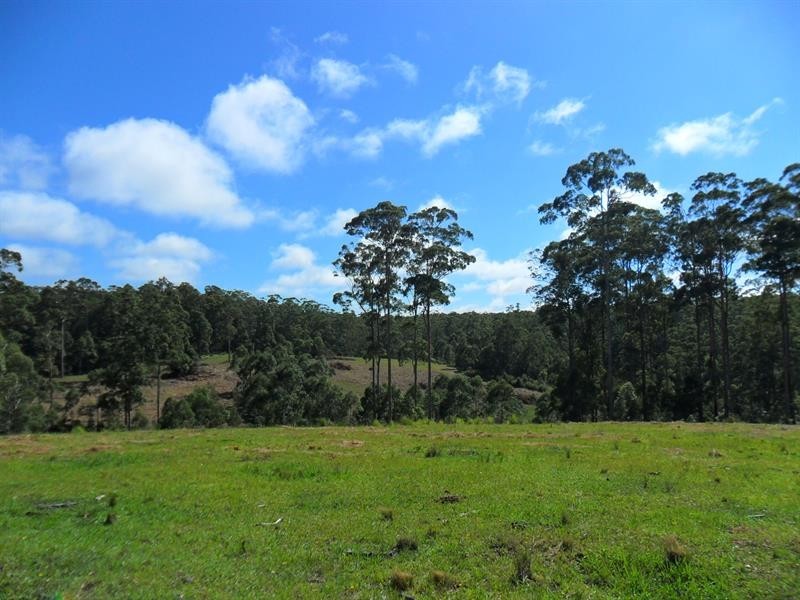 322 Hubbards Nth Rd, Wootton NSW 2423