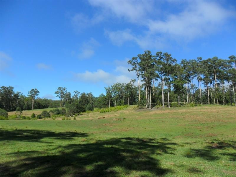 322 Hubbards Nth Rd, Wootton NSW 2423