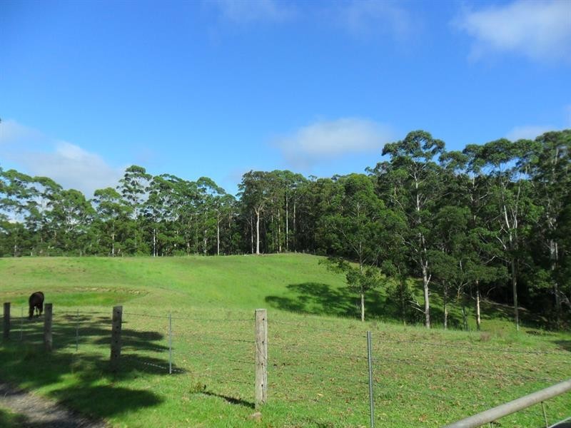 322 Hubbards Nth Rd, Wootton NSW 2423