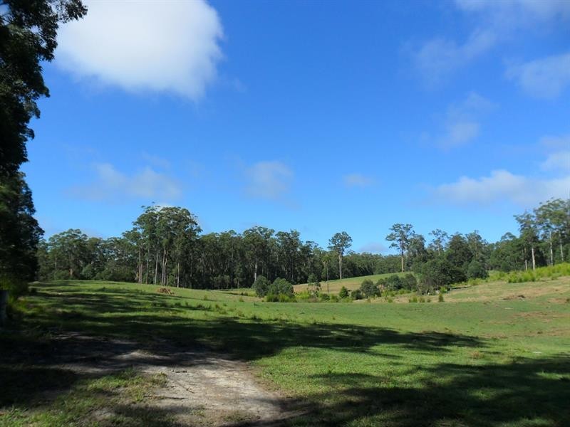322 Hubbards Nth Rd, Wootton NSW 2423