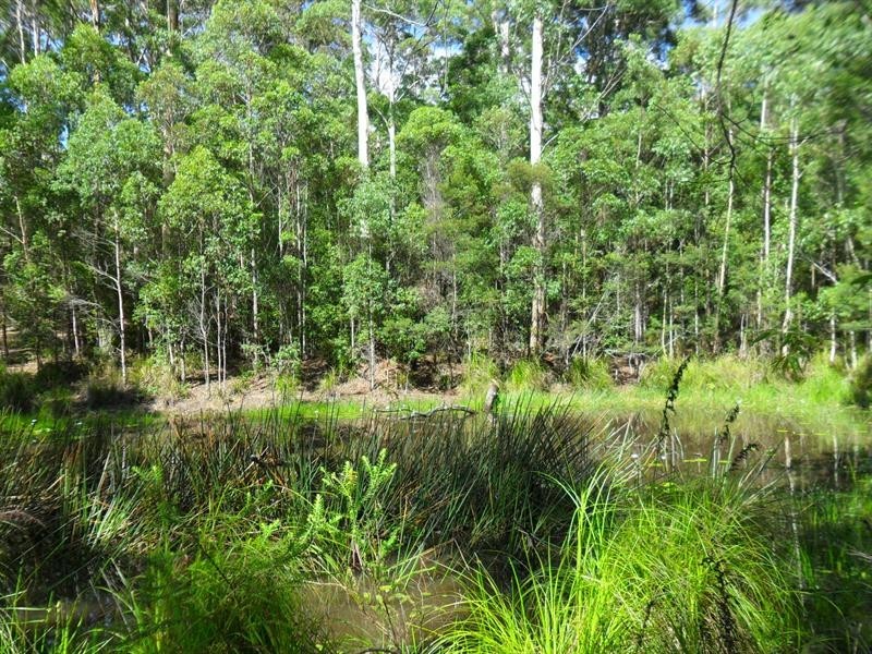 322 Hubbards Nth Rd, Wootton NSW 2423