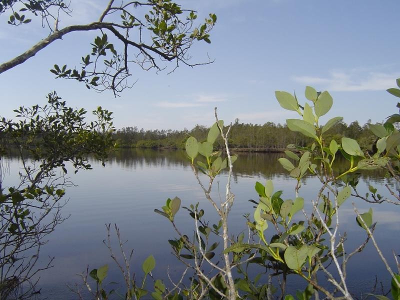 Lot 4 Pitchfork  Pl, Coomba Park NSW 2428