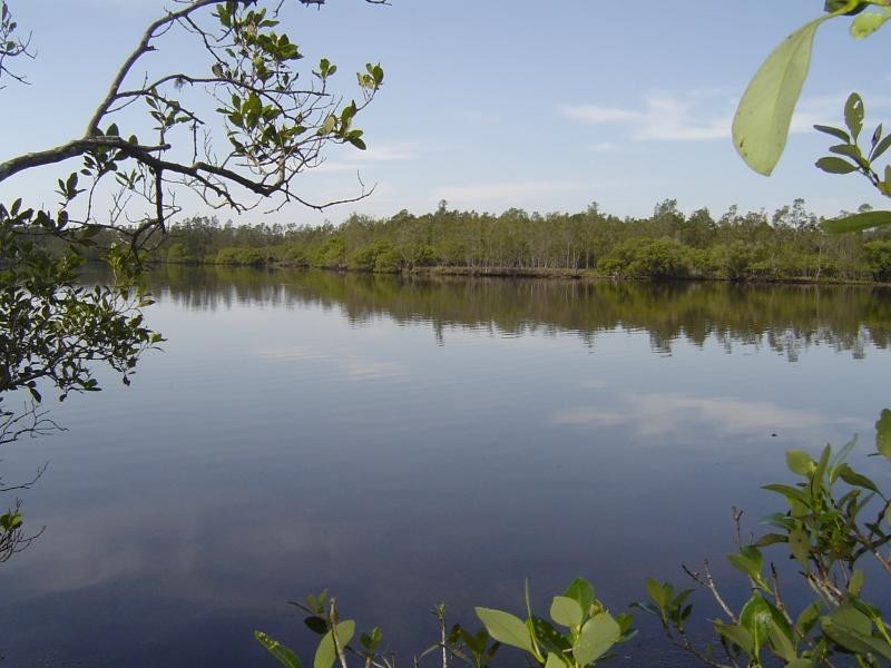 Lot 4 Pitchfork Pl, Coomba Park NSW 2428