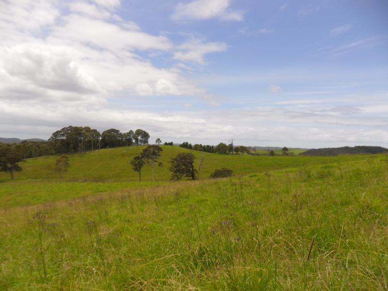 2096b The Lakes Way, Mayers Flat NSW 2423