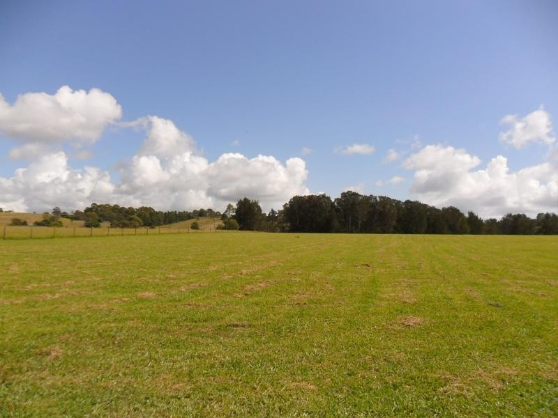 1979 Coomba Rd, Coomba Park NSW 2428