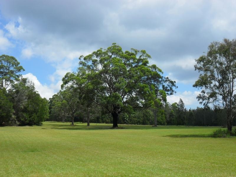 Coomba Park NSW 2428