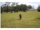 Forster NSW 2428