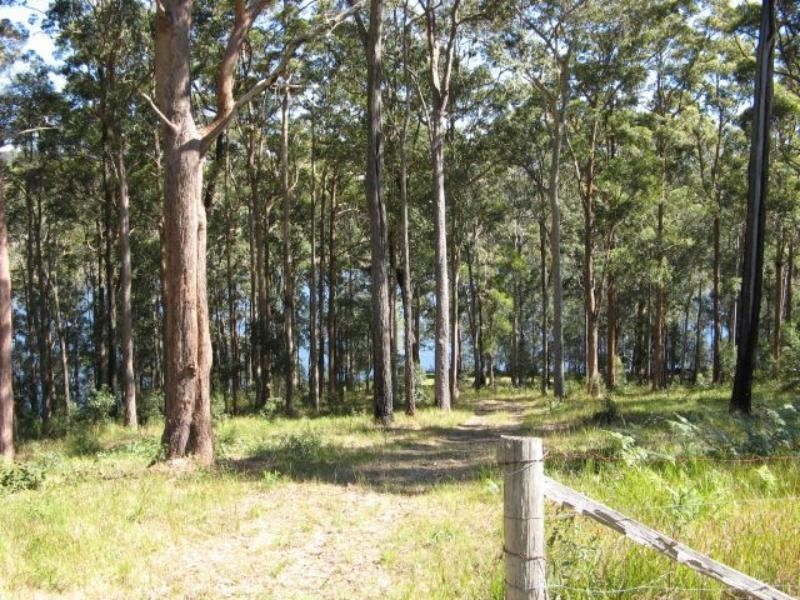 Forster NSW 2428