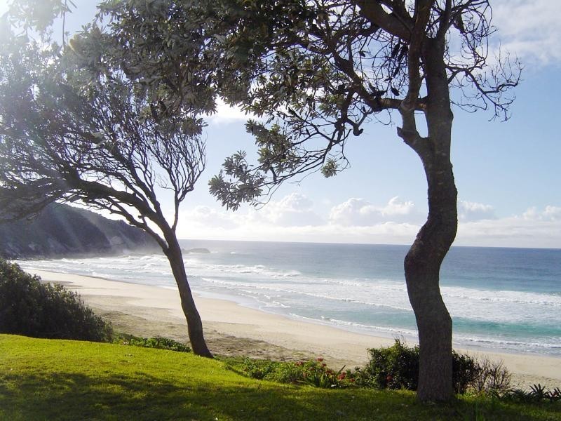 52 Newmans Ave, Blueys Beach NSW 2428