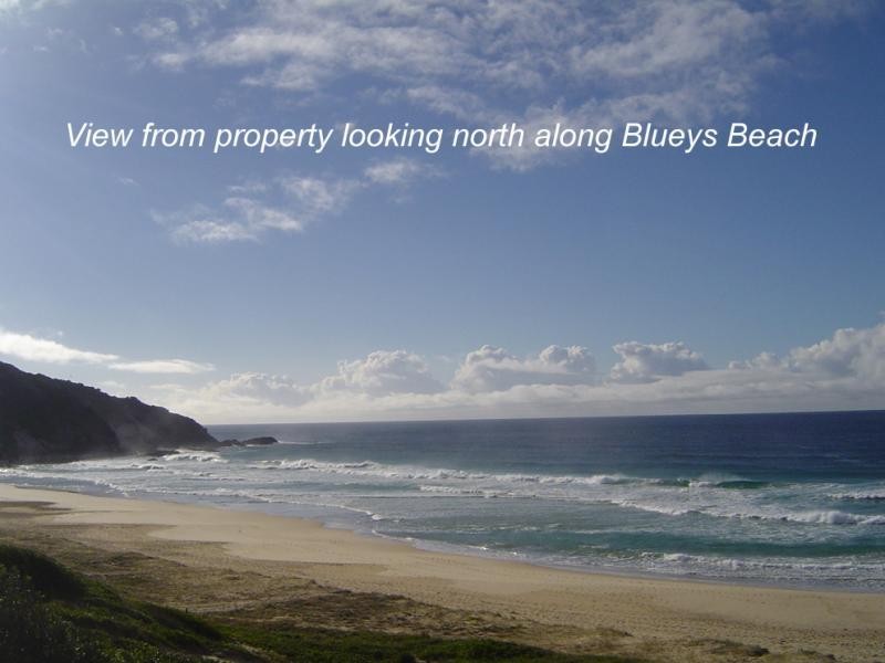 52 Newmans Ave, Blueys Beach NSW 2428