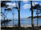 1/113 Patsys Flat Rd, Pacific Palms NSW 2428