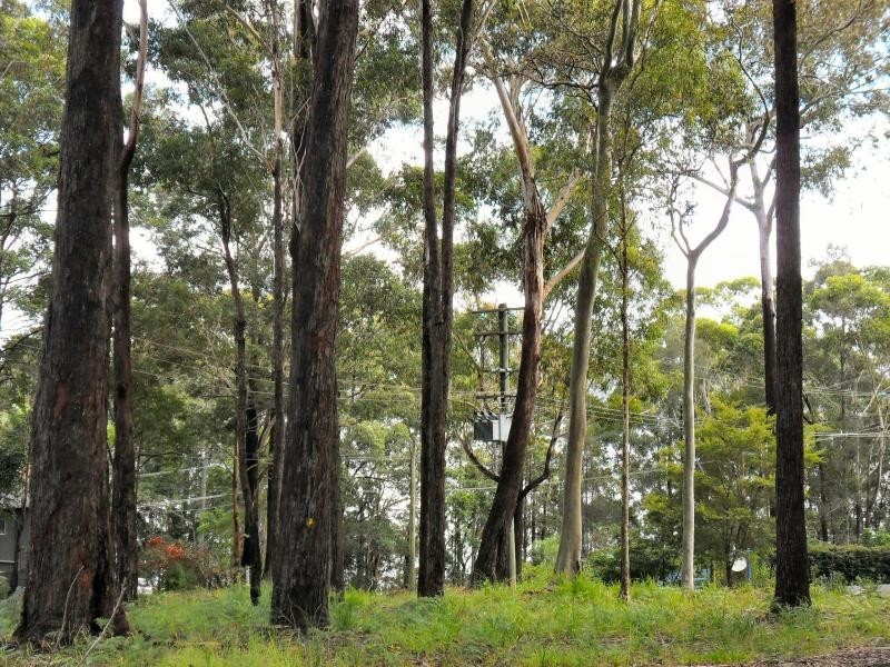 1 Keith Cres, Smiths Lake NSW 2428