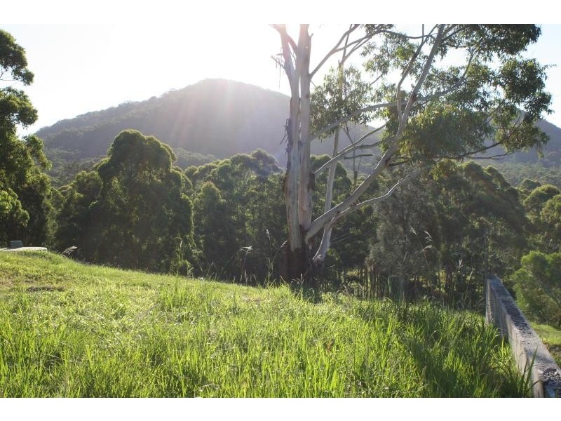 205 Coomba  Rd, Pacific Palms NSW 2428