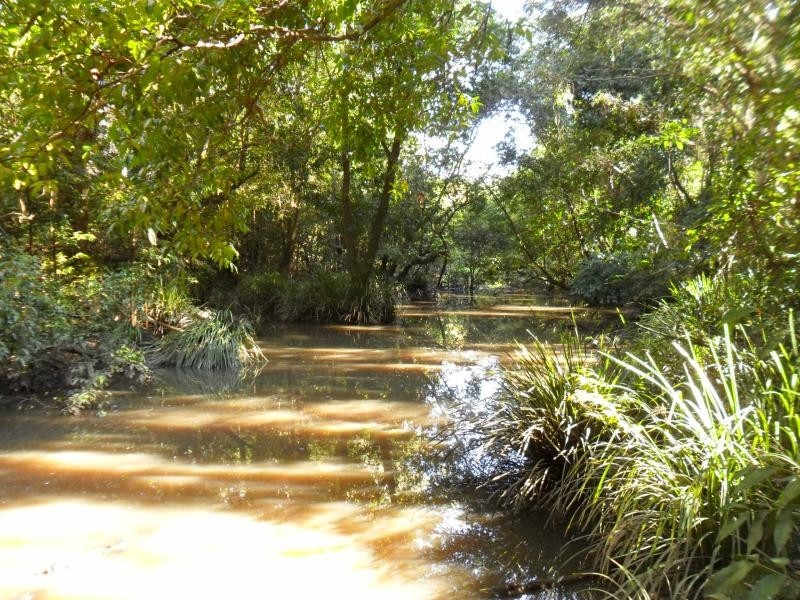 90 Violet Hill Rd, Boolambayte NSW 2423
