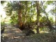 90 Violet Hill Rd, Boolambayte NSW 2423