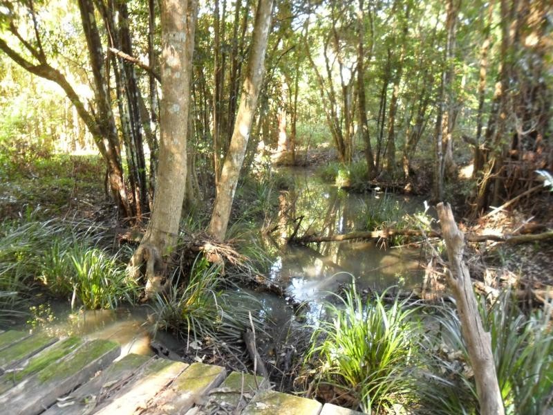 90 Violet Hill Rd, Boolambayte NSW 2423