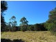 90 Violet Hill Rd, Boolambayte NSW 2423