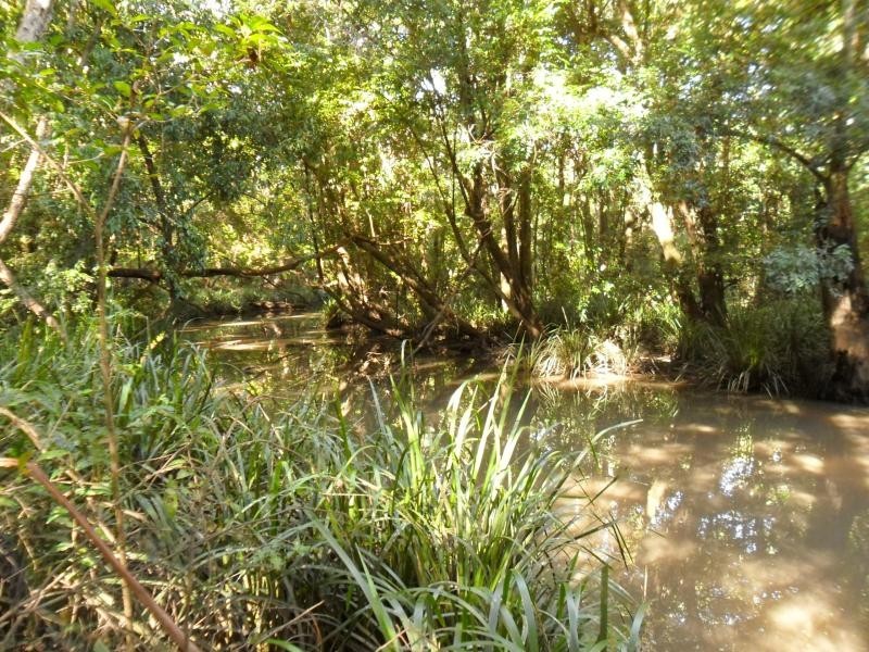 90 Violet Hill Rd, Boolambayte NSW 2423