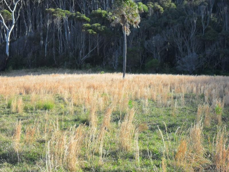 Lot 16,113 Newmans Ave, Blueys Beach NSW 2428