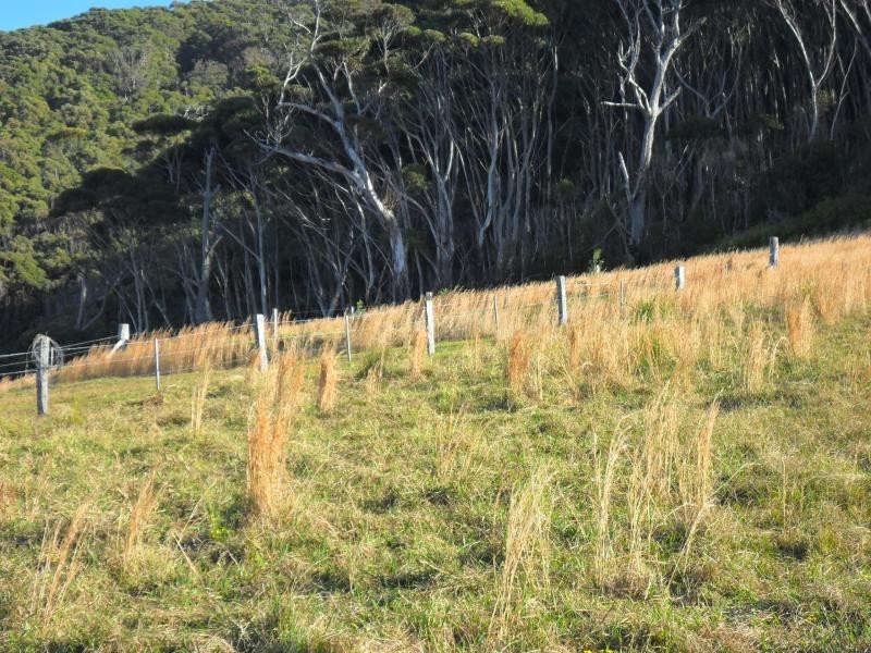 Lot 16,113 Newmans Ave, Blueys Beach NSW 2428