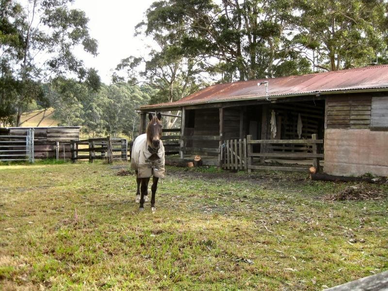 180 Hubbards Sth Rd, Bungwahl NSW 2423