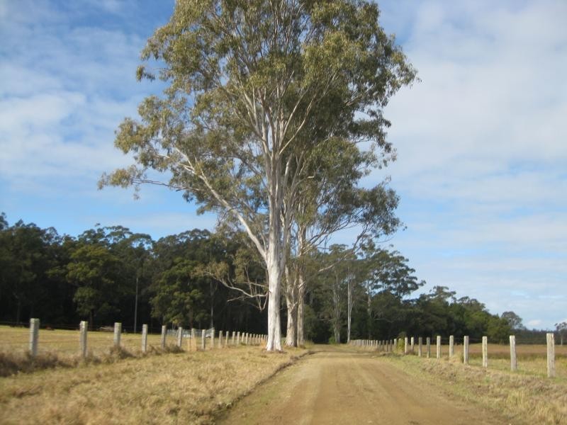 180 Hubbards Sth Rd, Bungwahl NSW 2423