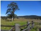 180 Hubbards Sth Rd, Bungwahl NSW 2423