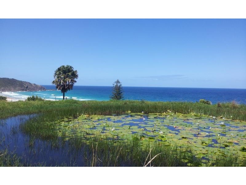 117 Newmans Ave, Blueys Beach NSW 2428