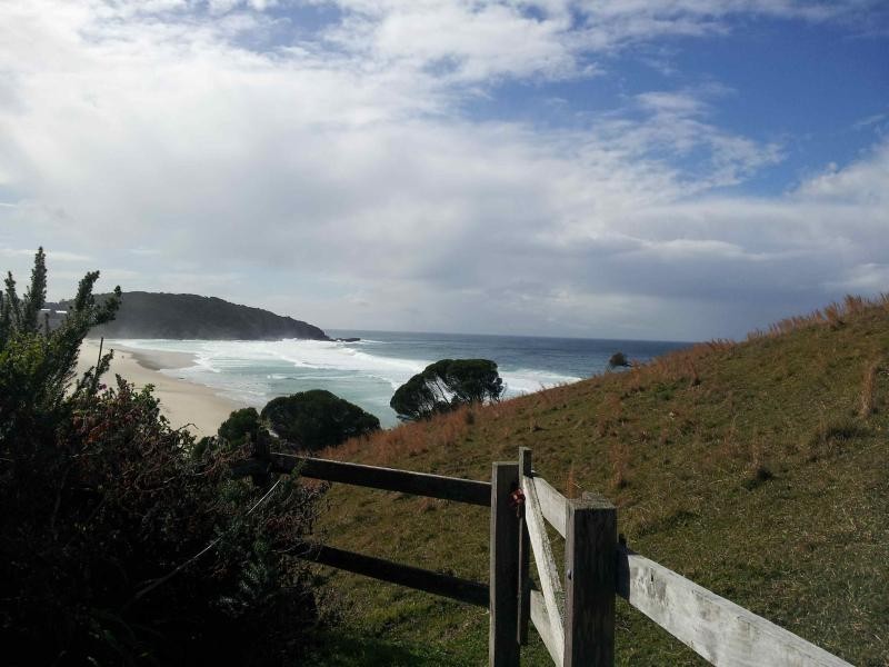 117 Newmans Ave, Blueys Beach NSW 2428