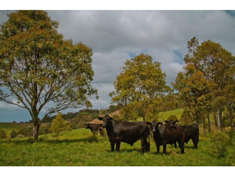 2010 The Lakes Way, Bungwahl NSW 2423