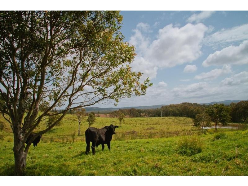2010 The Lakes Way, Bungwahl NSW 2423