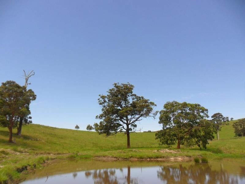 2010 The Lakes Way, Bungwahl NSW 2423