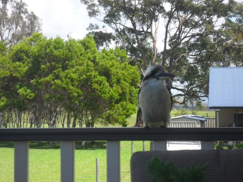 12 Wangaree  St, Coomba Park NSW 2428