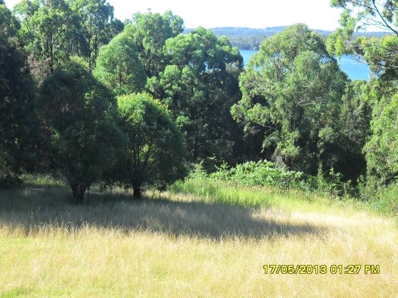 305 Burraneer Rd, Pacific Palms NSW 2428