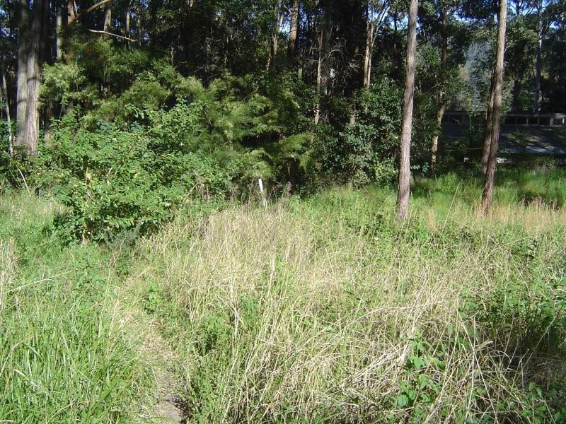 16 Crown Cl, Smiths Lake NSW 2428