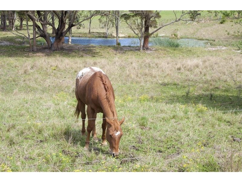 3524 The Lakes  Way, Charlotte Bay NSW 2428
