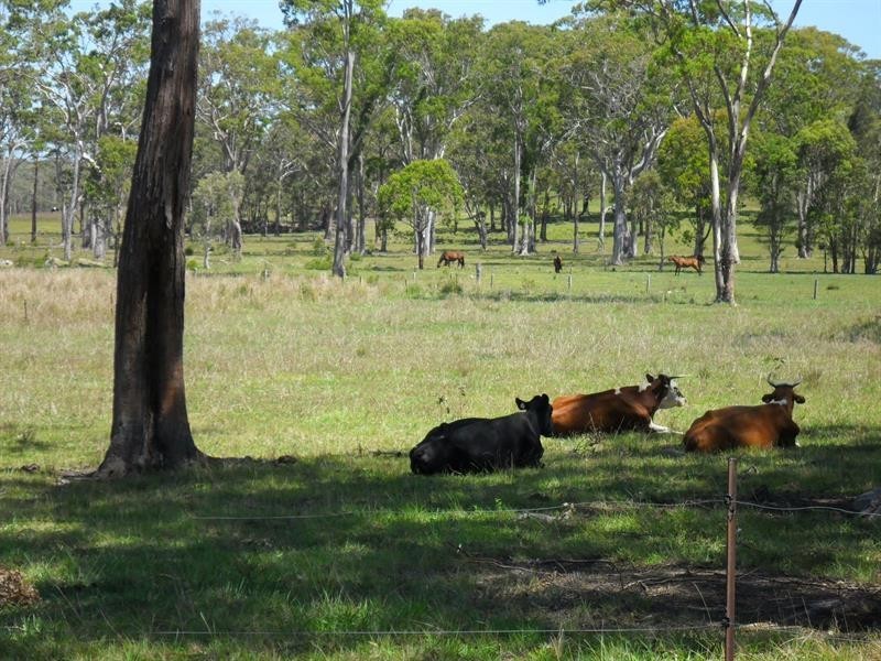 3524 The Lakes  Way, Charlotte Bay NSW 2428