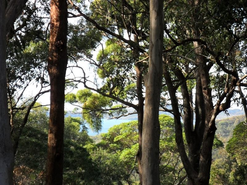 633 Coomba Rd, Whoota NSW 2428