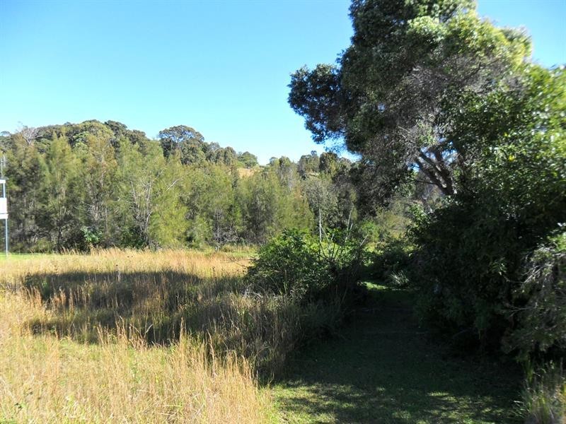 21 Tallawalla St, Coomba Park NSW 2428