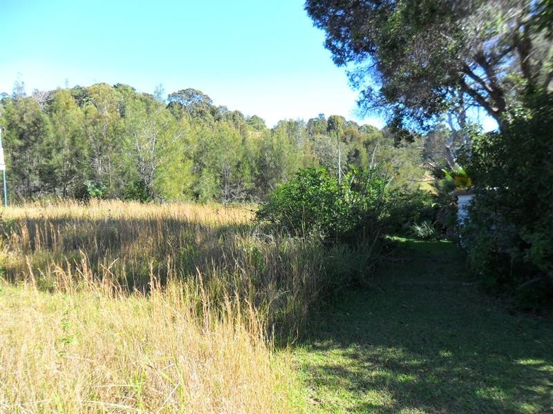 21 Tallawalla St, Coomba Park NSW 2428