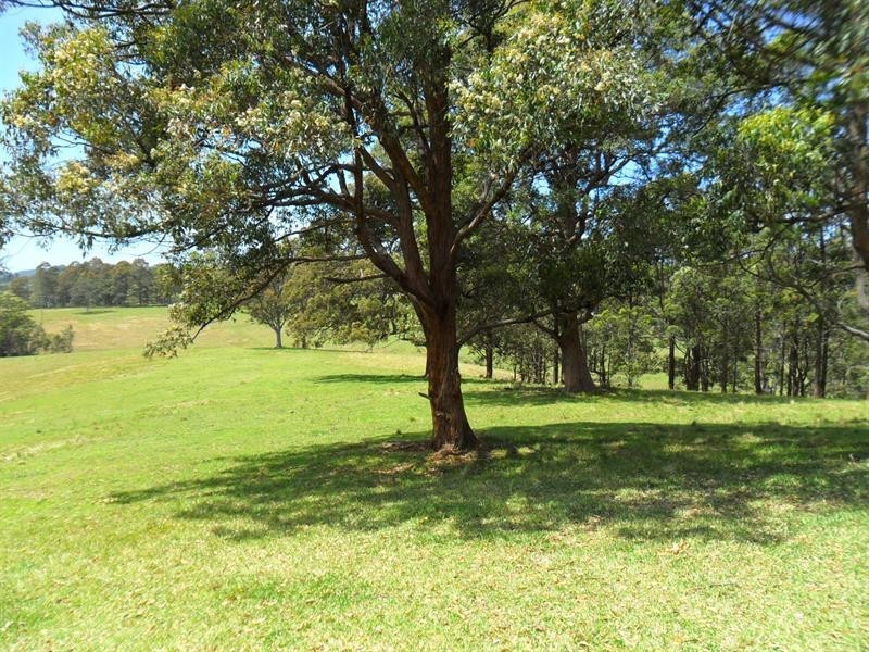 1717 The Lakes Way, Topi Topi NSW 2423