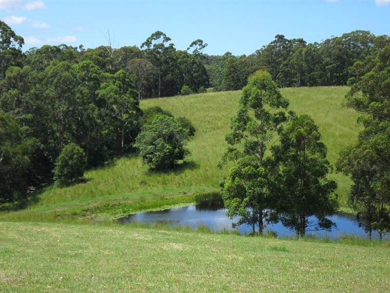 239 Hubbards North Rd, Bungwahl NSW 2423