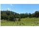 239 Hubbards North Rd, Bungwahl NSW 2423