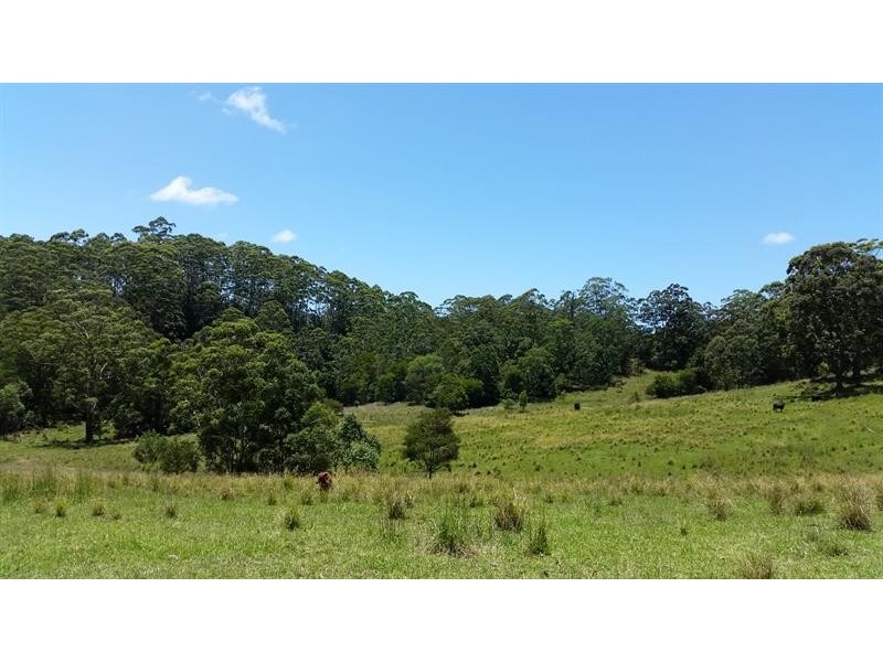 239 Hubbards North Rd, Bungwahl NSW 2423