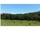 239 Hubbards North Rd, Bungwahl NSW 2423