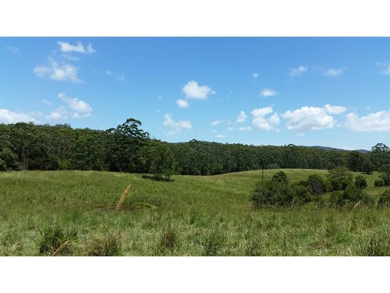 239 Hubbards North Rd, Bungwahl NSW 2423