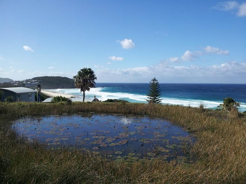 110 Newmans Ave, Blueys Beach NSW 2428