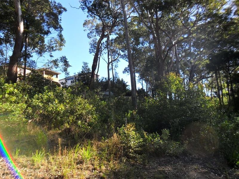 13 Ridgeline Ct, Elizabeth Beach NSW 2428